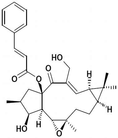 62820-11-5