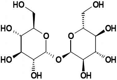 PA PHY 002839