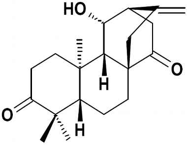 1092103-22-4