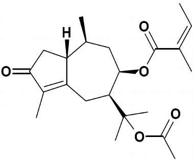 PA PHY 002852