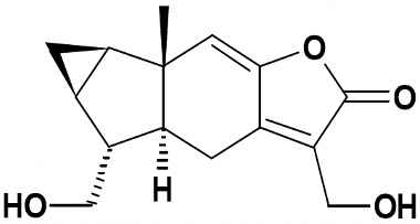 PA PHY 002855