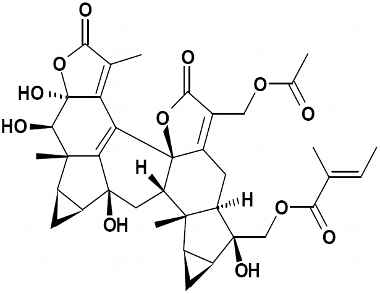 PA PHY 002870