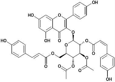 PA PHY 002874