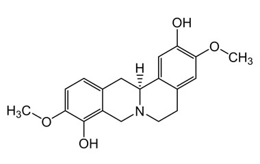 PA PHY 002876