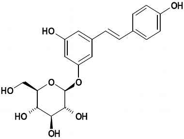 PA PHY 002877