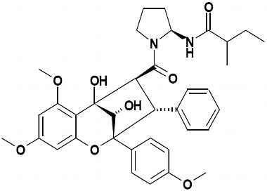 PA PHY 002893