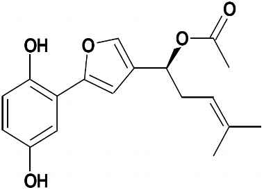 PA PHY 002908