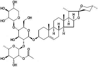 PA PHY 002923