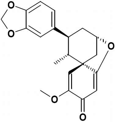 PA PHY 002930