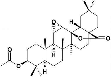 PA PHY 002934