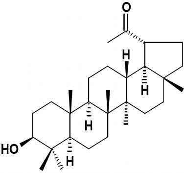 PA PHY 002950