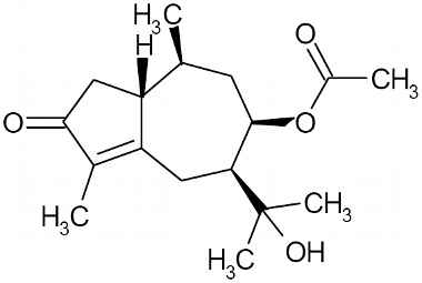 PA PHY 002978