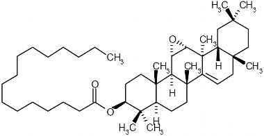 PA PHY 002979