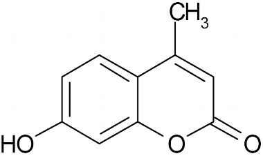 90-33-5