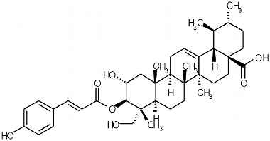 PA PHY 002989