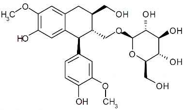 PA PHY 003010