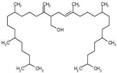 PA PHY 003013