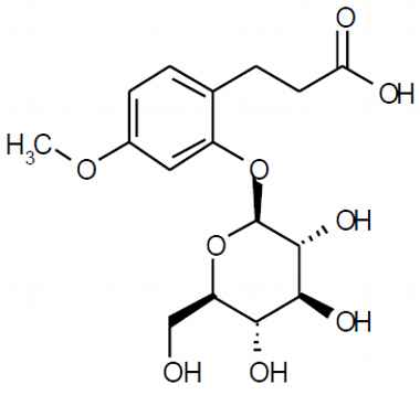 PA PHY 003016