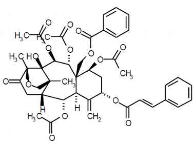 PA PHY 003017