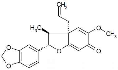 PA PHY 003018