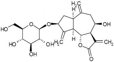 PA PHY 003021