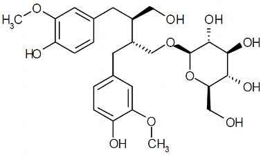 PA PHY 003022