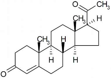 PA PHY 003029