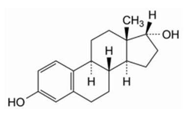 PA PHY 003030