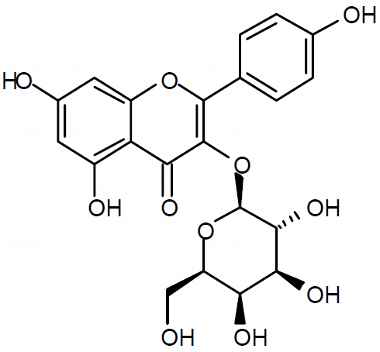 PA PHY 003045