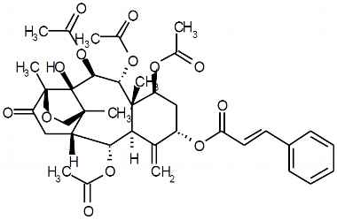 PA PHY 003050