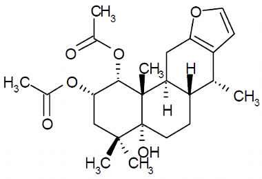 PA PHY 003062