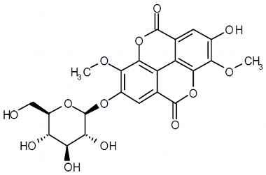 PA PHY 003064