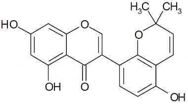 PA PHY 003066