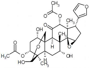 PA PHY 003072