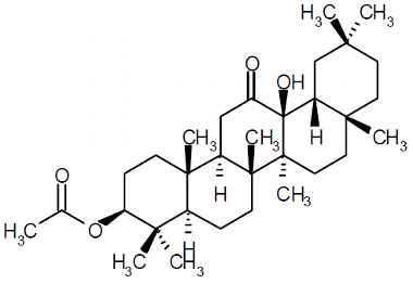 PA PHY 003077