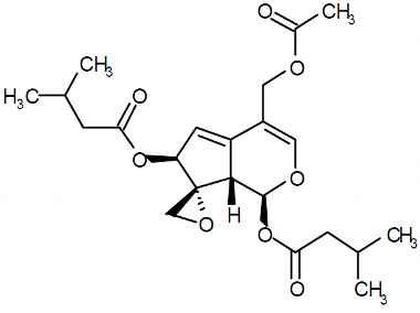 PA PHY 003078