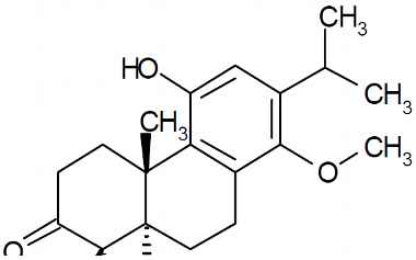 PA PHY 003080