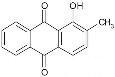 PA PHY 003091