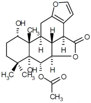 PA PHY 003097