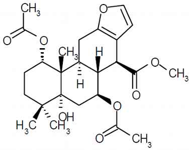 PA PHY 003098