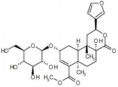 PA PHY 003099