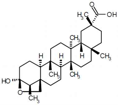 PA PHY 003100