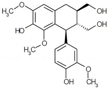 PA PHY 003102