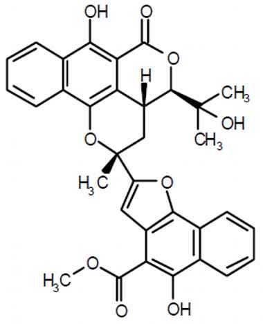 PA PHY 003107