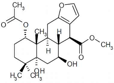 PA PHY 003133