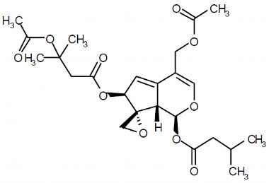 PA PHY 003136