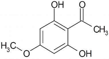 PA PHY 003148