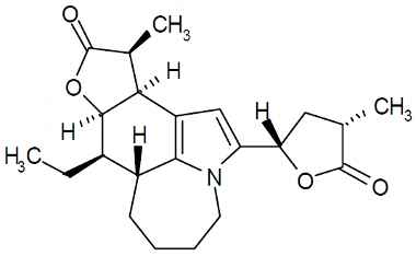 PA PHY 003149