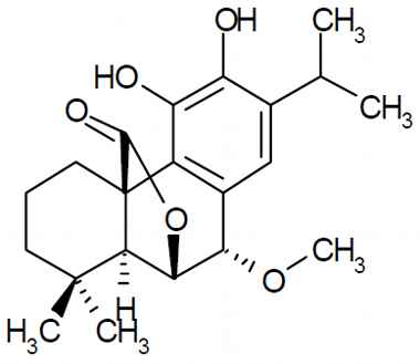 PA PHY 003153