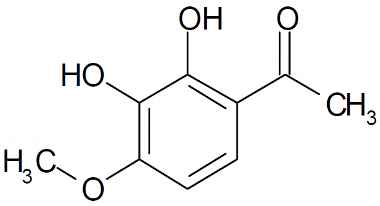 PA PHY 003154